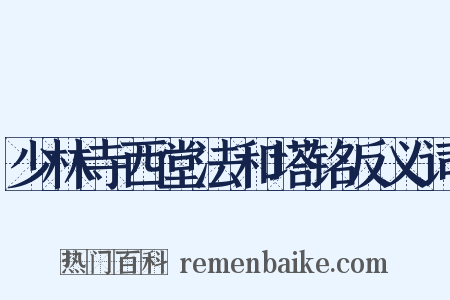 少林寺西堂法和塔铭反义词是什么意思的图片